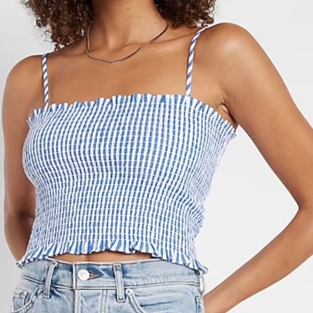 Express NWT Preppy Academia blue and white smocked stripe crop top XL